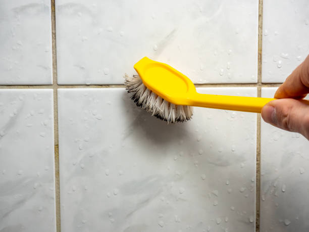 Best Commercial Mold Removal  in White Oak, MD