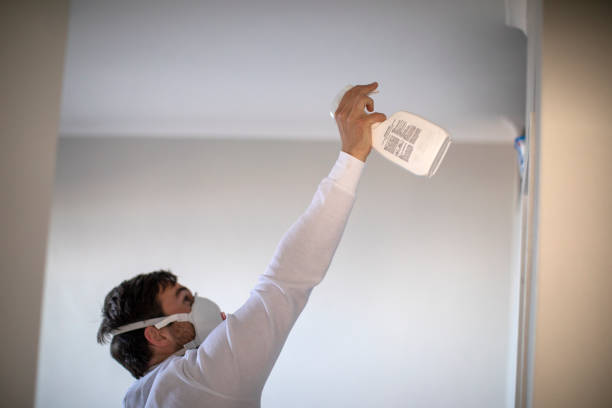 Best Attic Mold Removal  in White Oak, MD