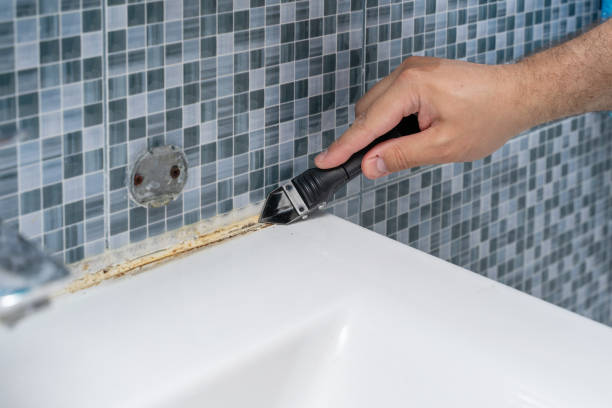 Best Mold Removal Near Me  in White Oak, MD